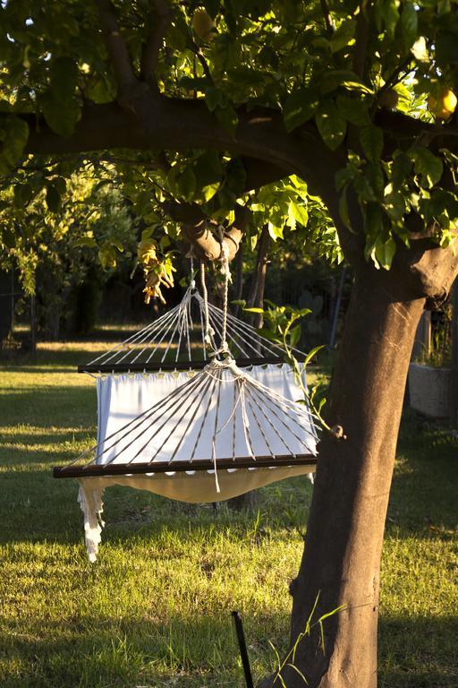 Agriturismo Terrenia Villa Trappitello Eksteriør bilde