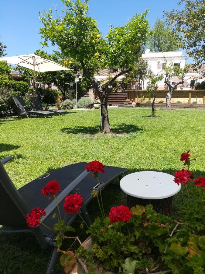 Agriturismo Terrenia Villa Trappitello Eksteriør bilde